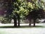 FA[gnCV^CiWertheimsteinparkFWien 19, Doeblinger Hauptstrasse 96j